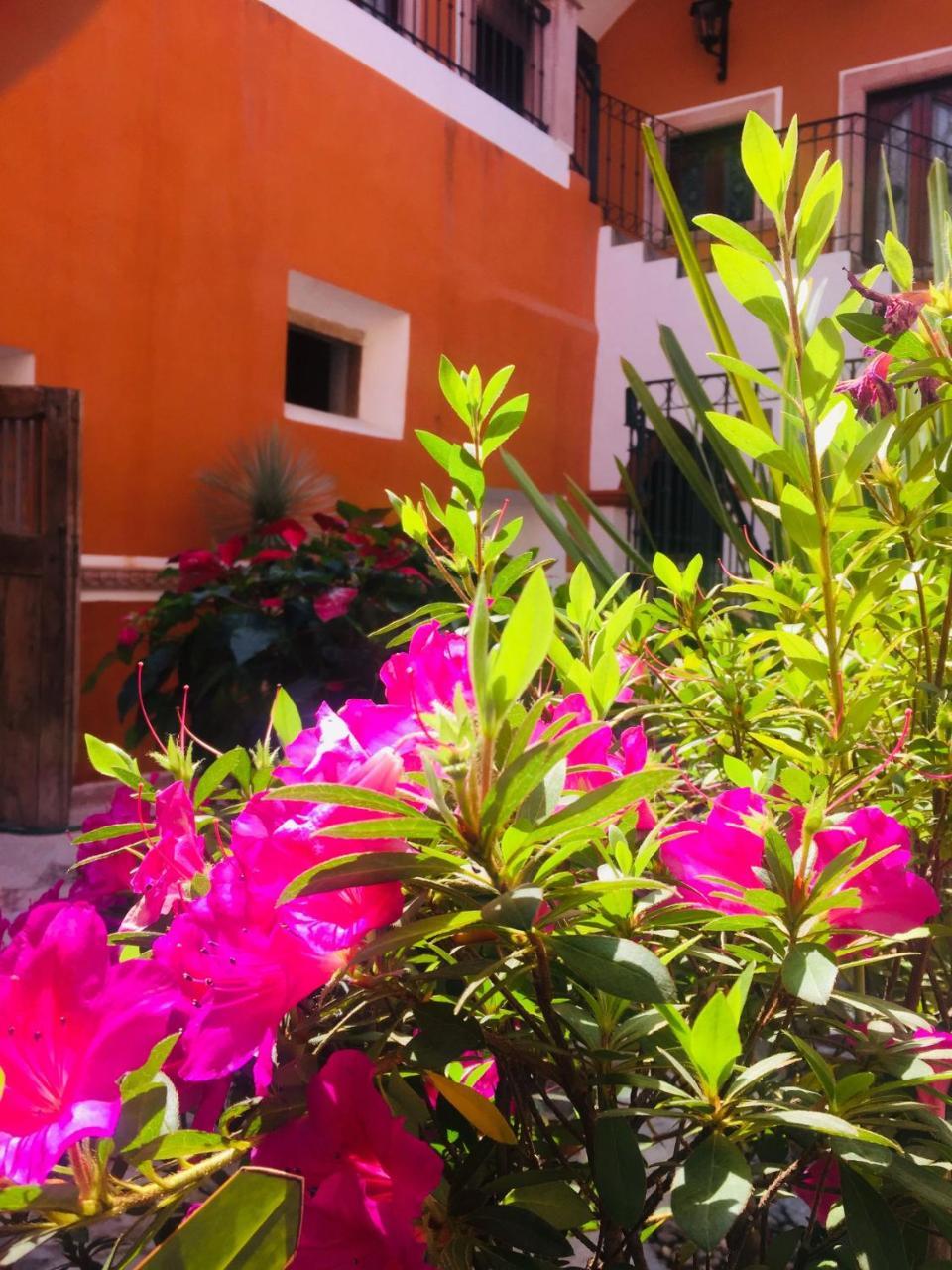 Casa Pozo Del Rayo Hotel Boutique 多洛雷斯-伊达尔戈 外观 照片
